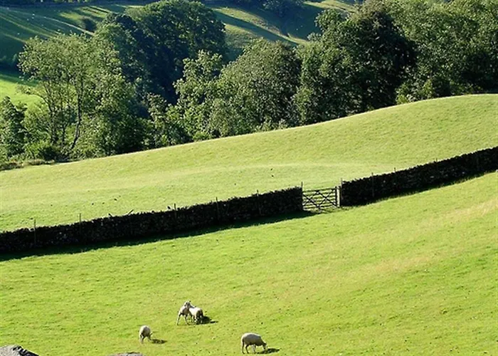 度假居 The Cosy Peacock 温德米尔