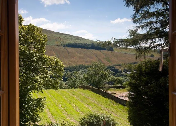 The Cosy Peacock 度假居 *
