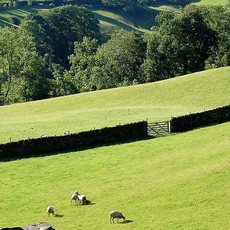 Ferienhaus The Cosy Peacock Windermere